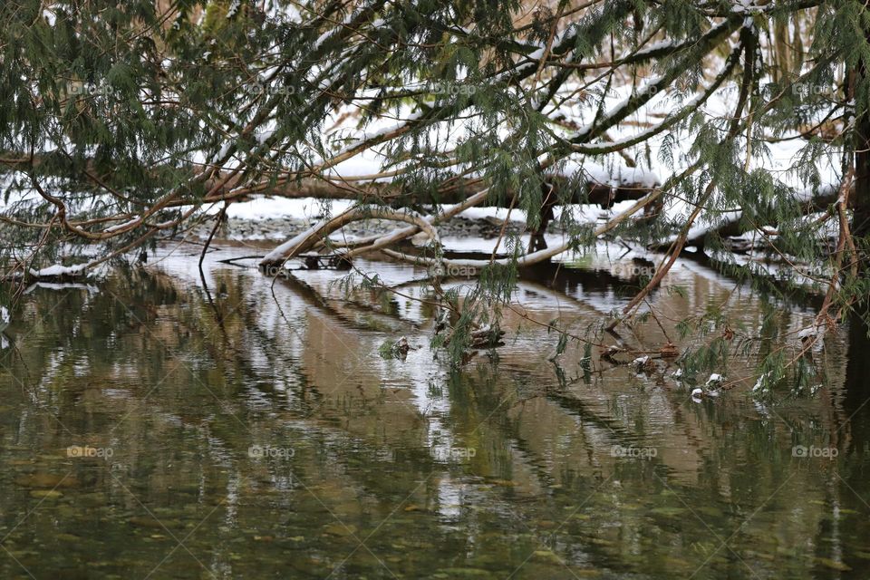 Reflection in the river in wintertime 