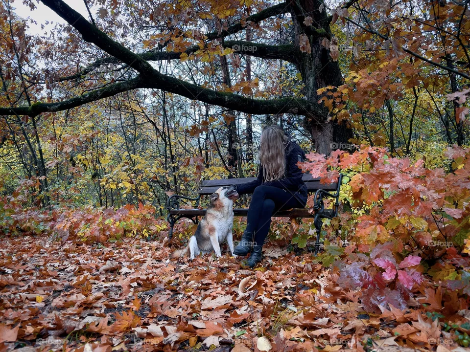 Dog