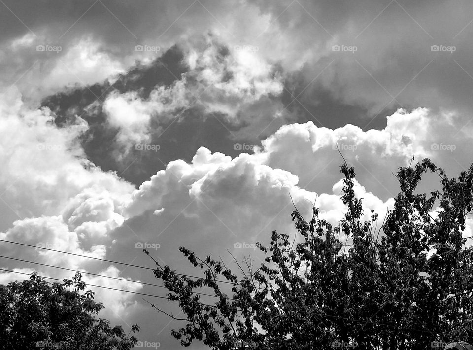 summer clouds