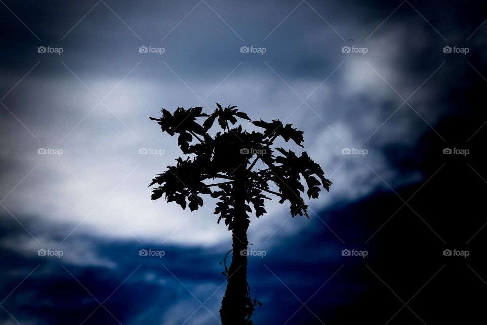 Céu azul dramático