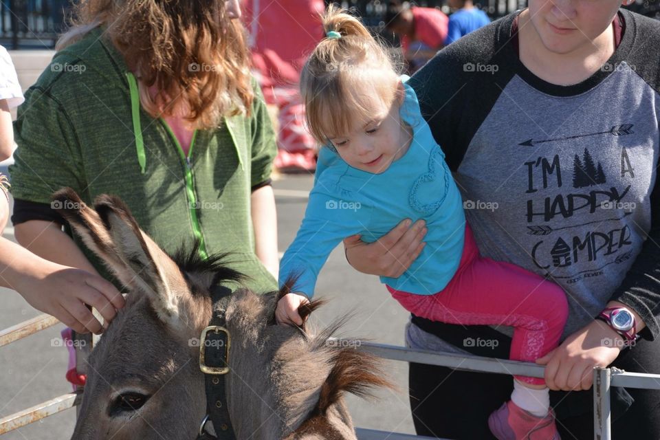 Down syndrome, petting zoo, donkey, happiness
