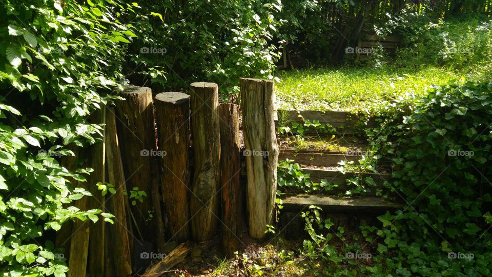 Im Garten....schönes schattiges Plätzchen...