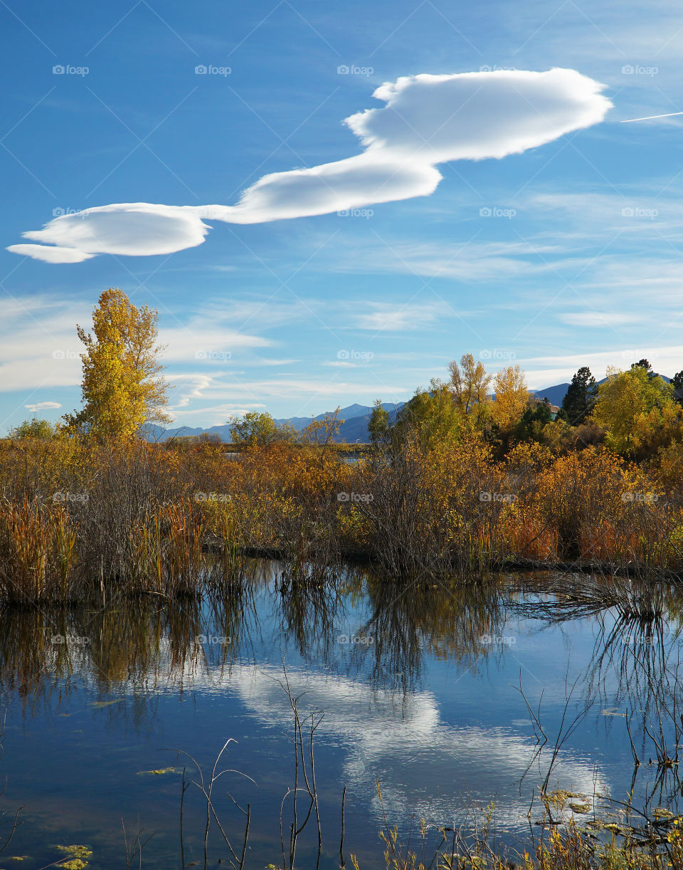 Changing leaves with cloud formation and reflection in the mountains