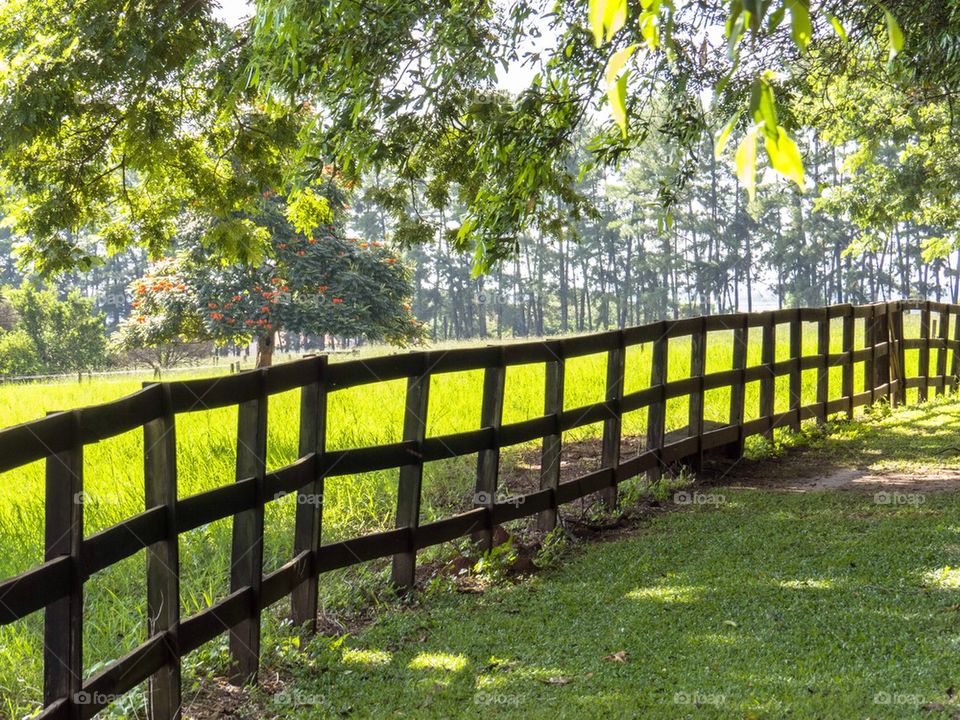 Beautiful fence