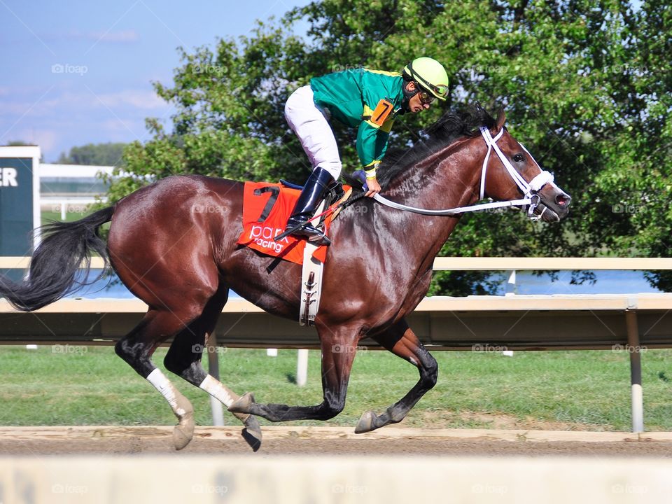 Encryption wins the Bayern . Encryption wins the Bayern stakes at Parx Racing with jockey Paco Lopez. 

zazzle.com/Fleetphoto 