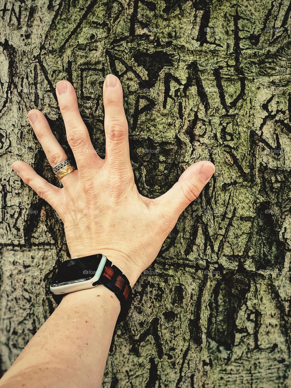Woman feels the bark on a tree, carving graffiti into trees, not natural nature, hand touches rough bark of tree, woman’s hand in nature