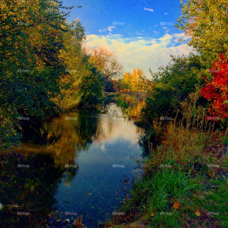 Beautiful creek showing it’s fall colors 