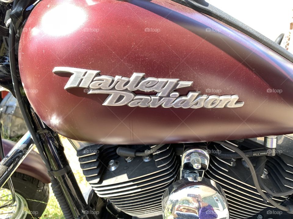 Harley Davidson love