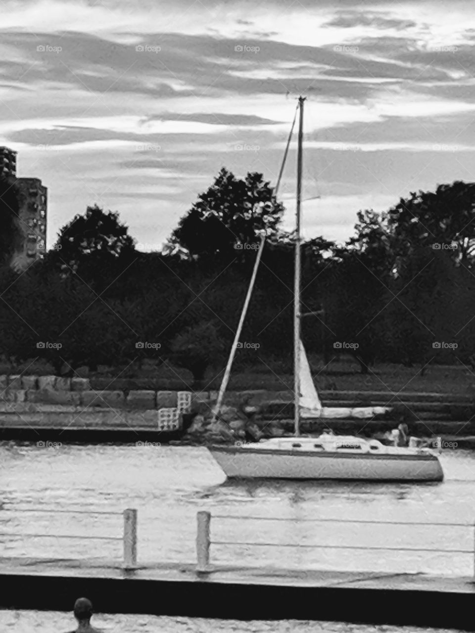 black and white sailboat in city harbor