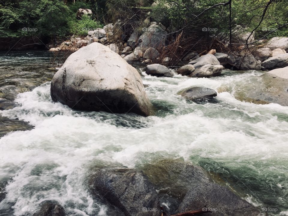 river in the sequoias