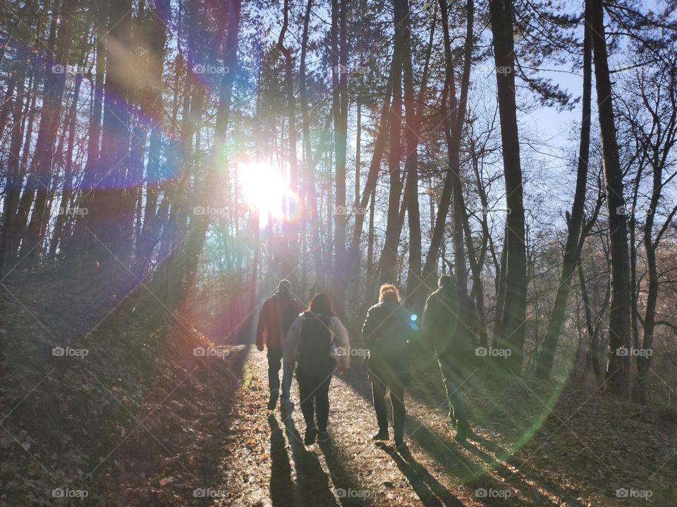 A photo of a group of people walking up a mountain path in the autumn, with trees and the sun rays shining through them, beautiful scenery and colours