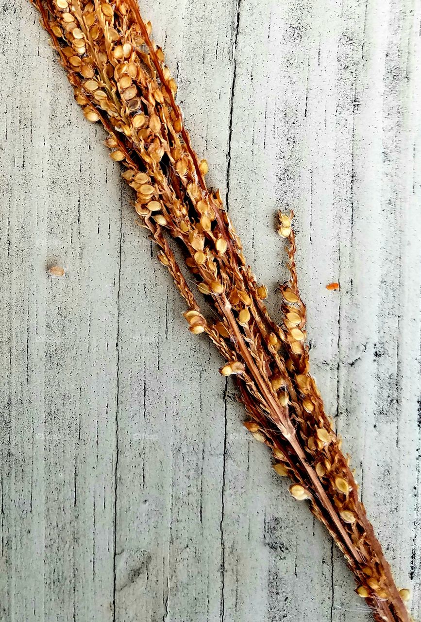 grass seeds on dock railing.