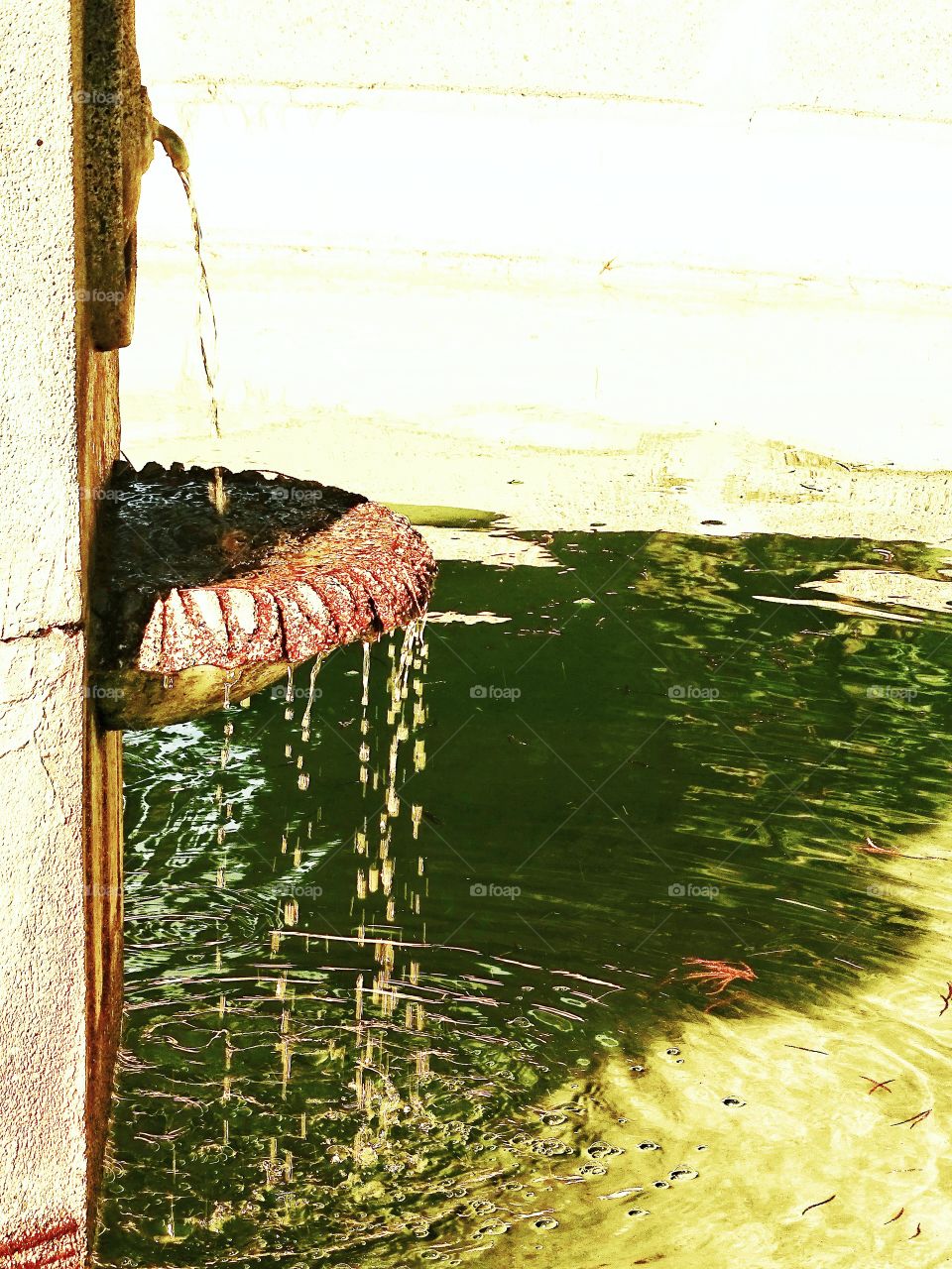 The effects of water from the source