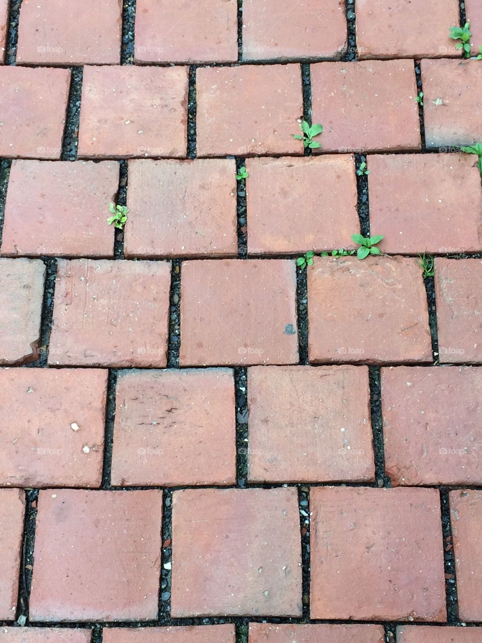 Brick sidewalks 