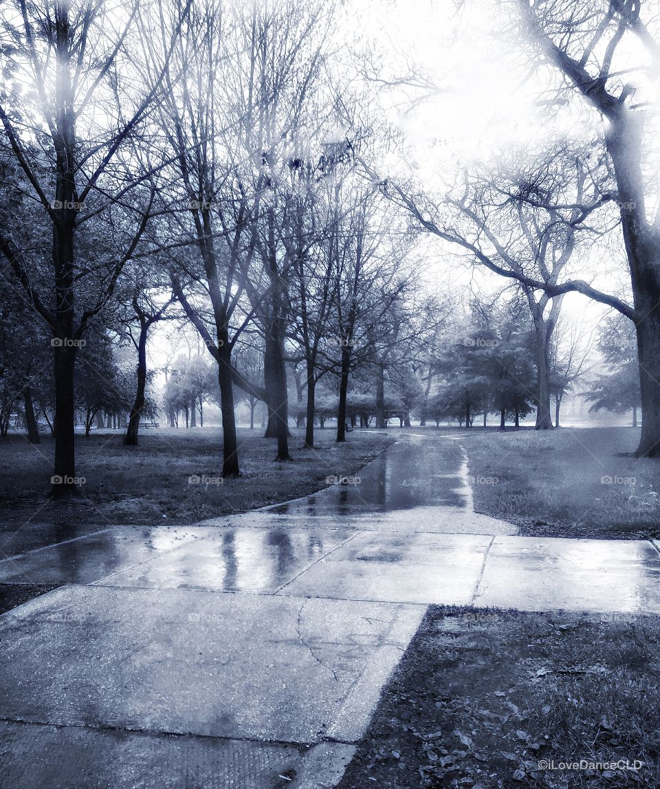 Walkway in Chicago's Jackson Park on a wet and foggy morning.