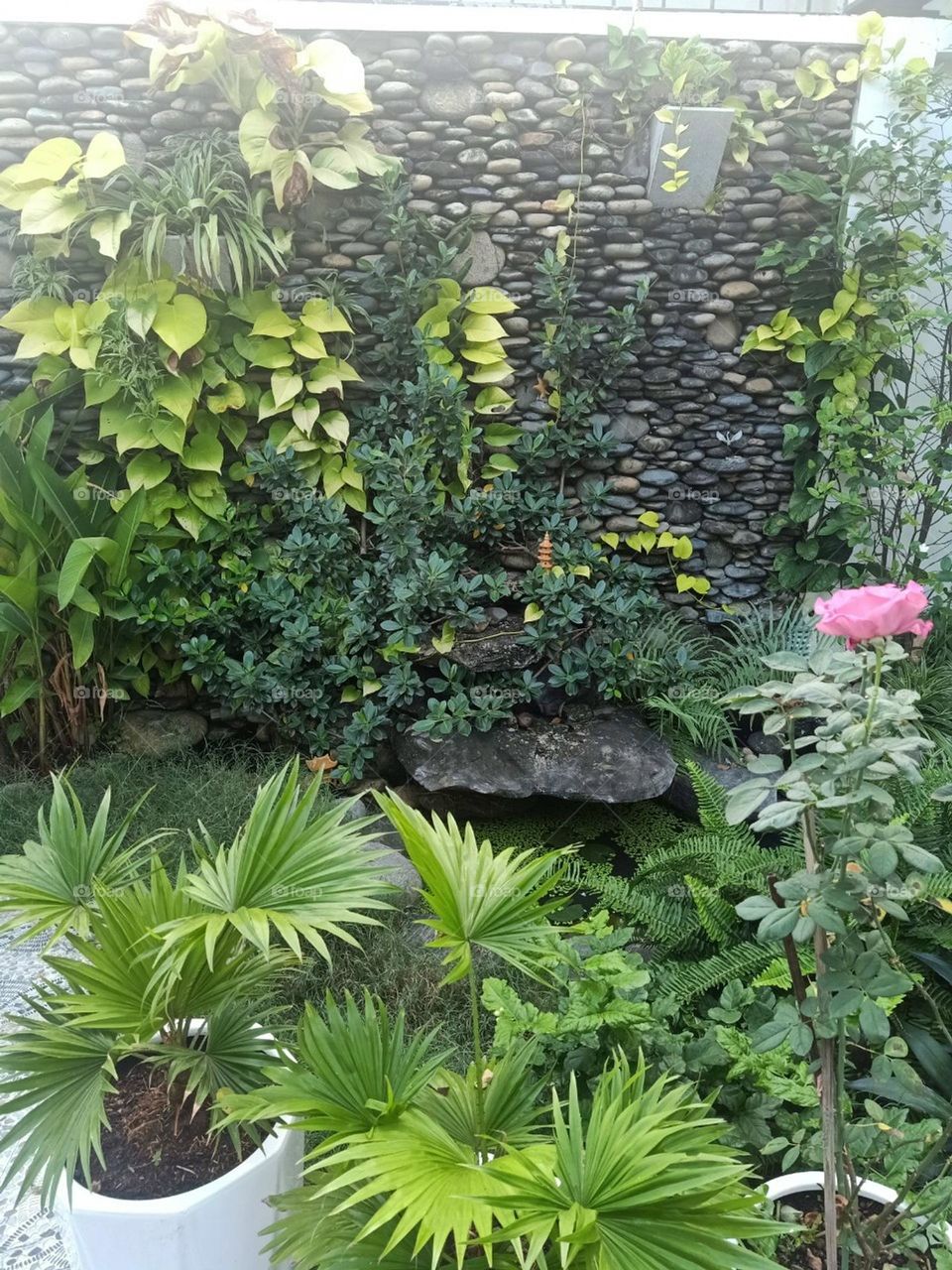 khu Vườn xanh nhà Bạn.