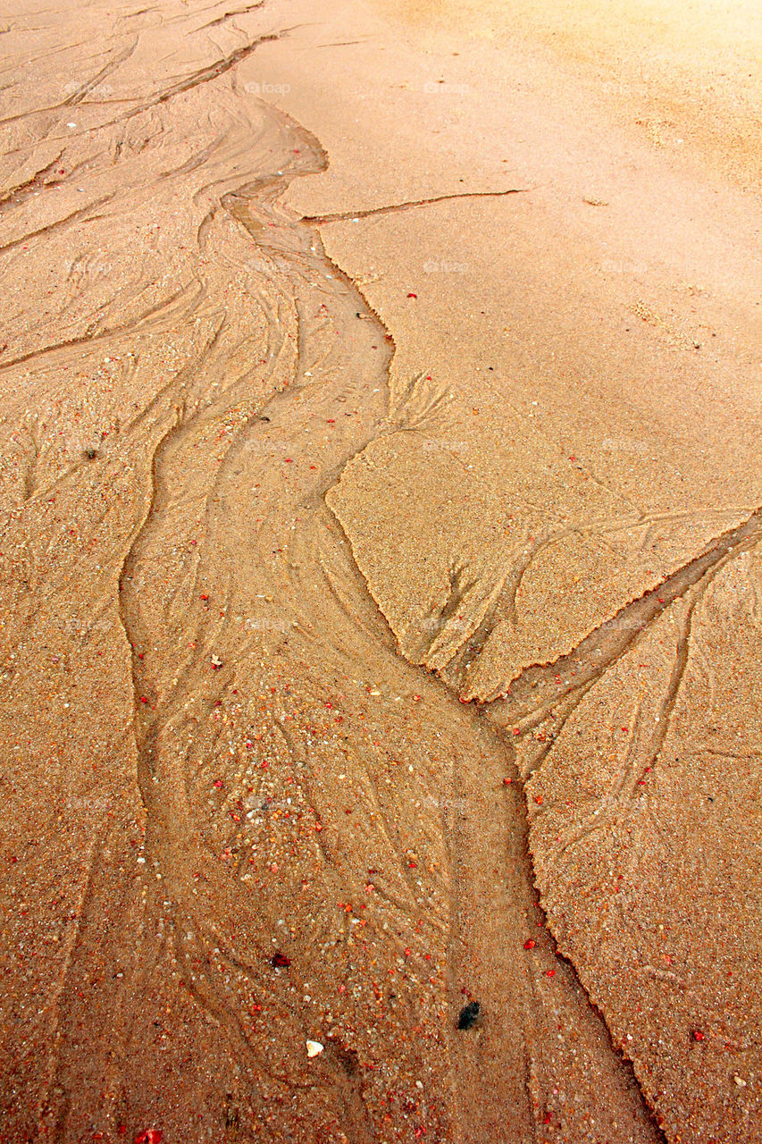 Patterns in the sand