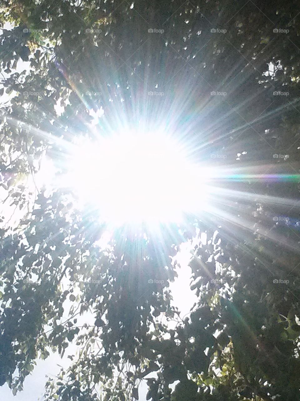 Look at this Diamond , Shining 
Brilliantly, Through this Tree !! 
The Colors of,  Blue, Yellow ,
Pink, and, Green.
Yet, I, Know says me, Yes, 
It is the Sun Shining, Yet, Still
The Resemblance,  is, So Much
Of, a Diamond Shining , Through
The Branches of , This, Beautiful
Huge , Magnificent,  Tree