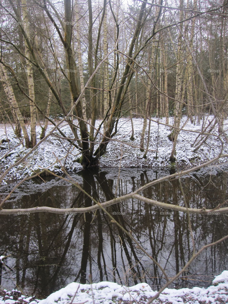 Reflections In The Snow