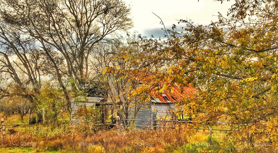 Treasures of the past 