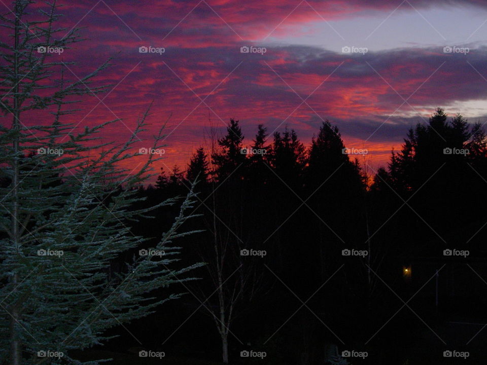 Port Ludlow Sunset