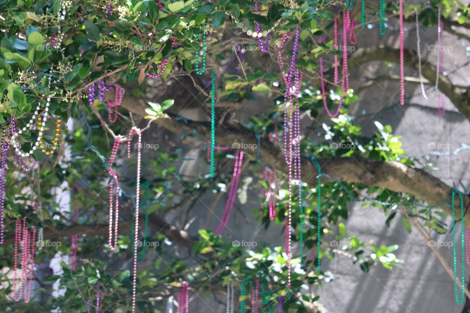 New Orleans bead tree.. lol!