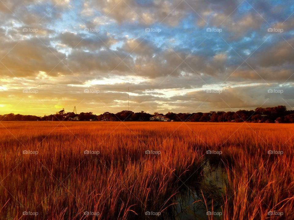 shem creek