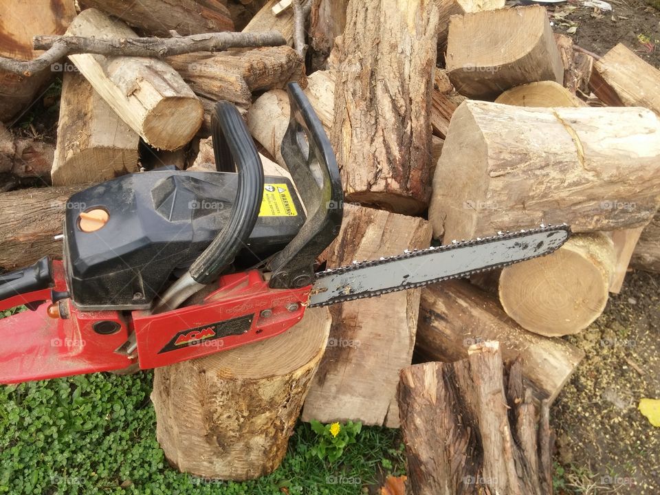 Wood, Tool, Saw, Log, Equipment