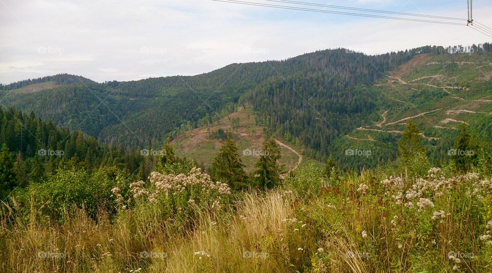 Mountain landscape 