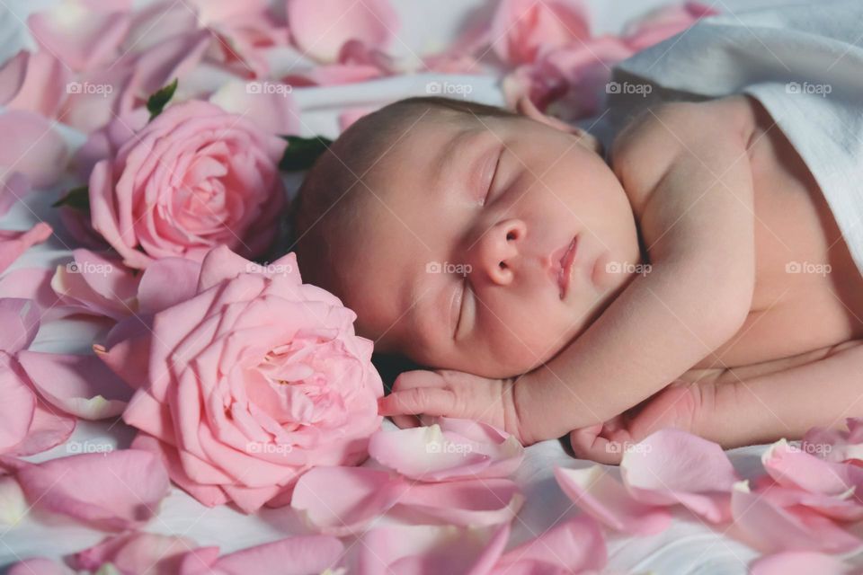 Newborn baby girl sleeping among rose flowers