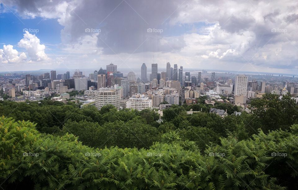 Skyline view of Montréal 