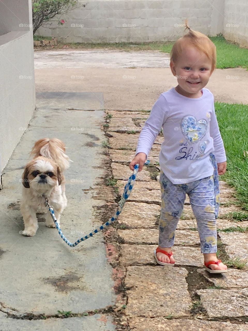 🇺🇸 Walking with our dog Pepita is very good! She is obedient, affectionate and likes flowers! / 🇧🇷 Passear com nossa cachorrinha Pepita é muito bom! Ela é obediente, carinhosa e gosta de flores!