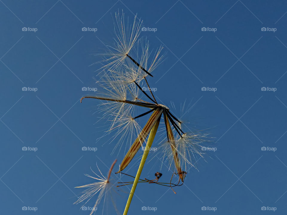 lonely under a blue sky