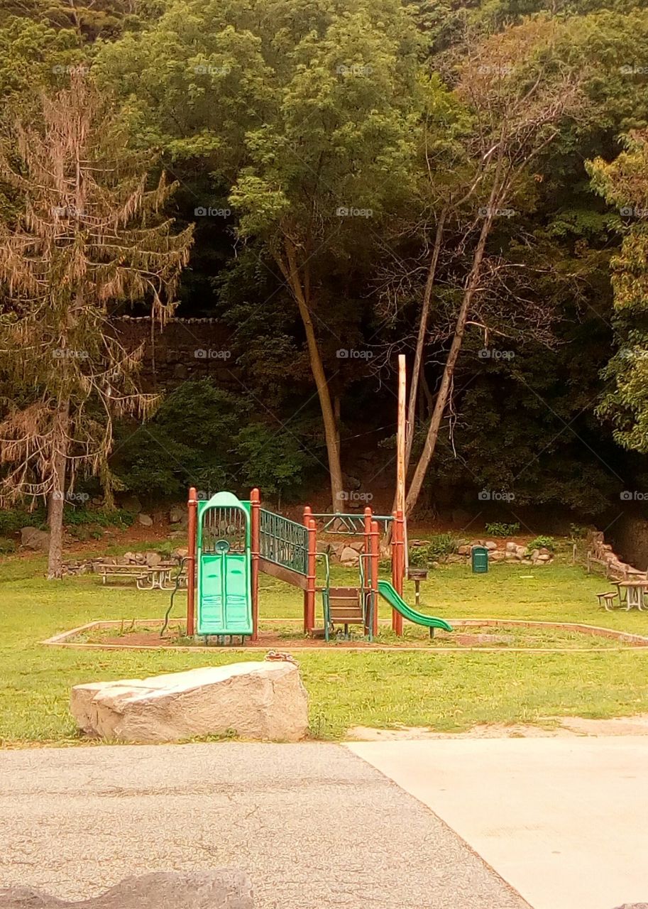 Playground in the Woods