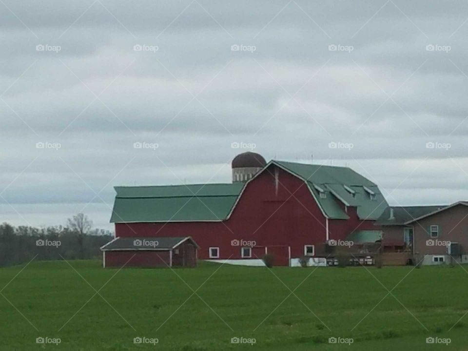 Driving the Back Roads and enjoying everything around us