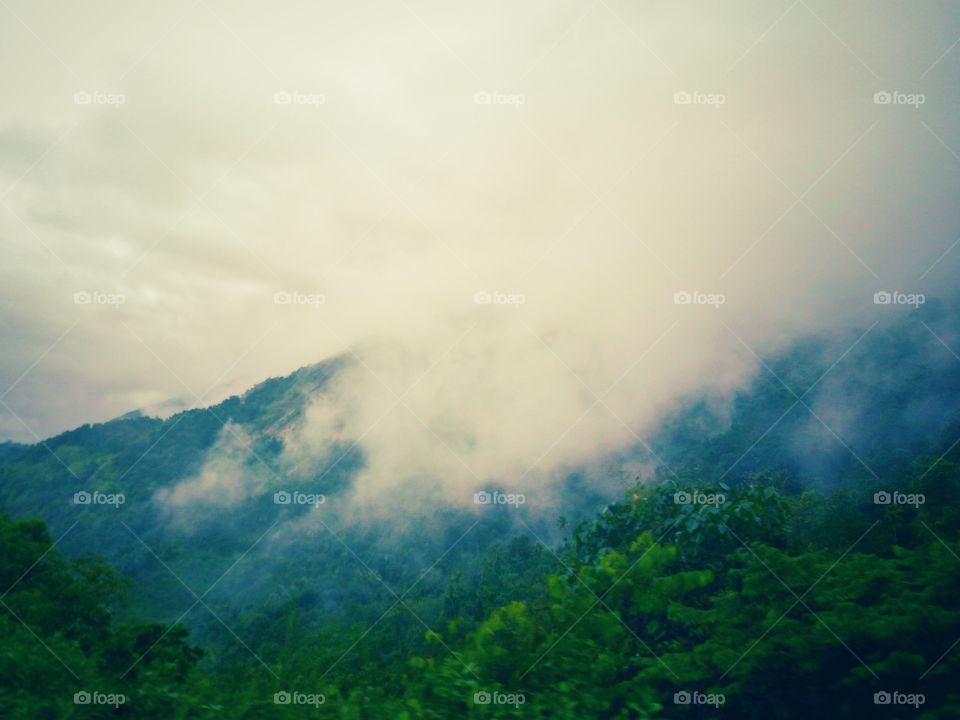 Foggy Mountain