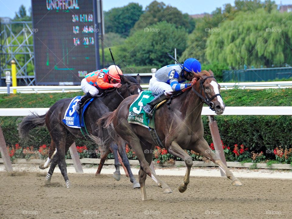 M E L O D I C. Melodic, a beautiful and powerful chestnut filly winning a race at Belmont. 
Horse racing gifts:
Zazzle.com/Fleetphoto 