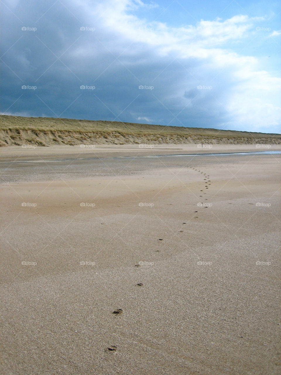 Alone on the beach