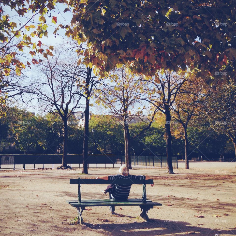 Spring in Paris 