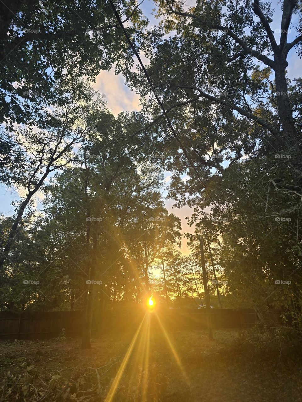 a beautiful sun burst at dusk