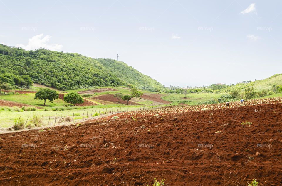 Farmland