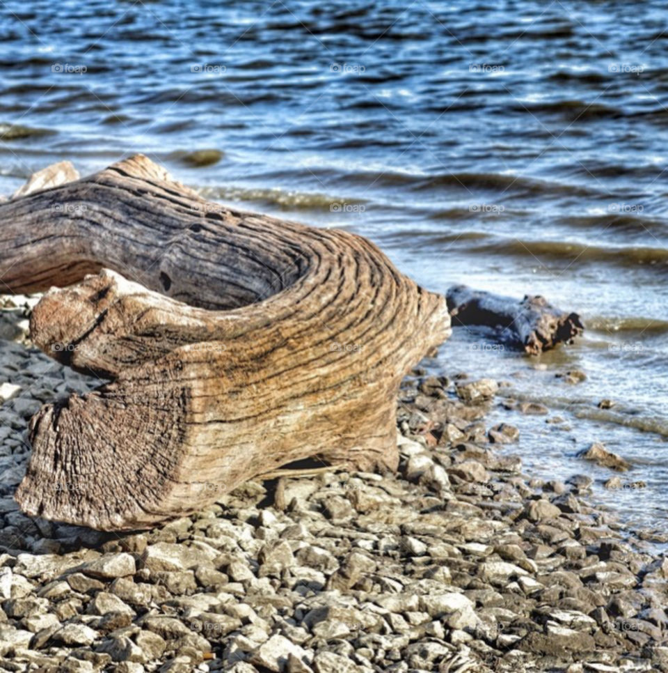 Old driftwood on the rocky shore by the lake.