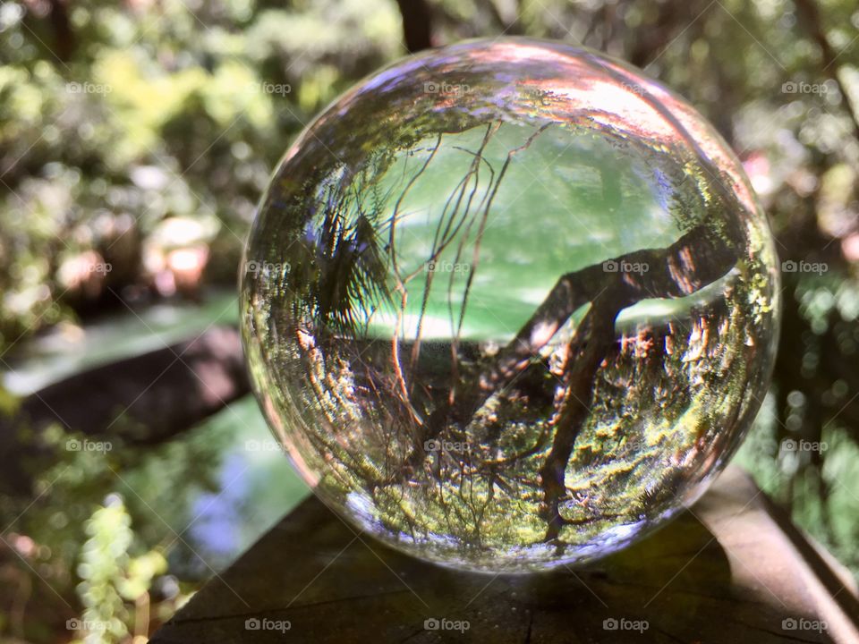 Reflection of a natural spring in a glass Lens Ball