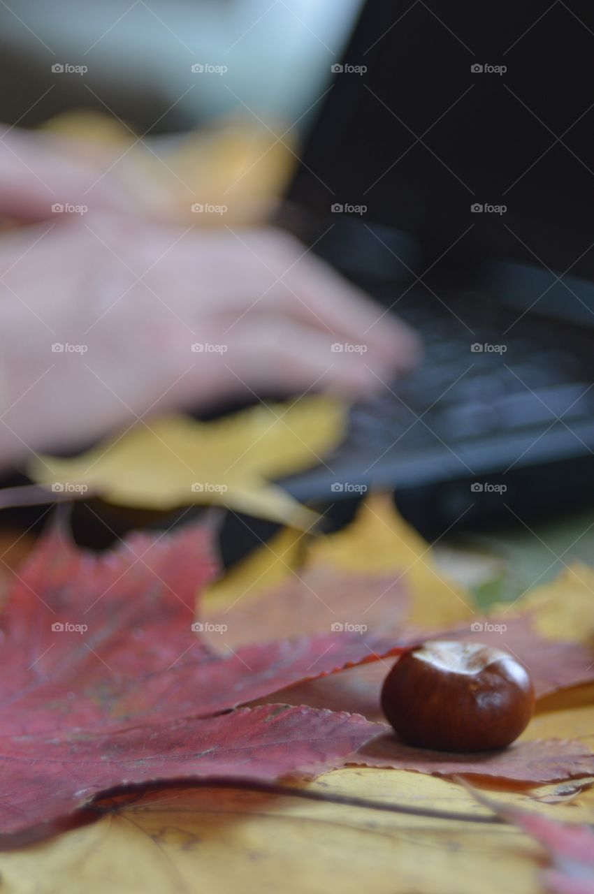 desktop at autumn