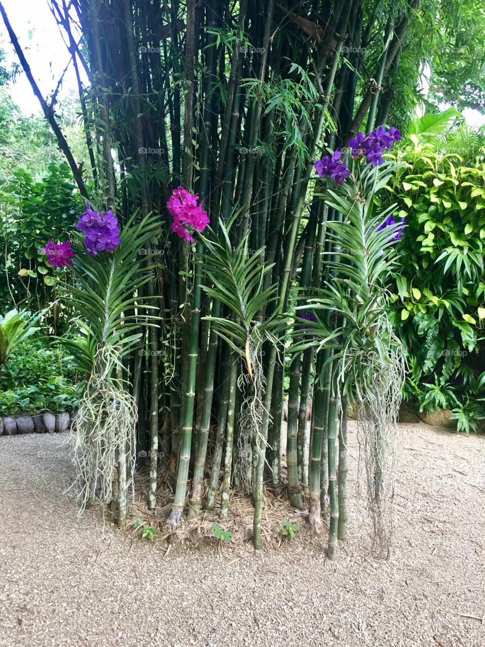 Bamboo sanctuary spa 