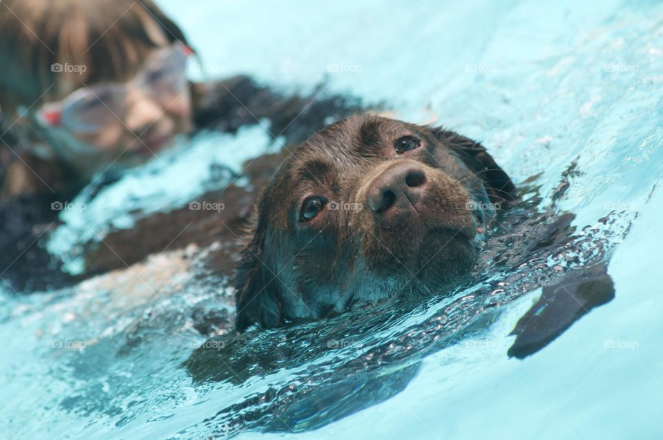 Swimming with a friend