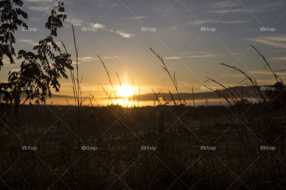 Country side sunset 