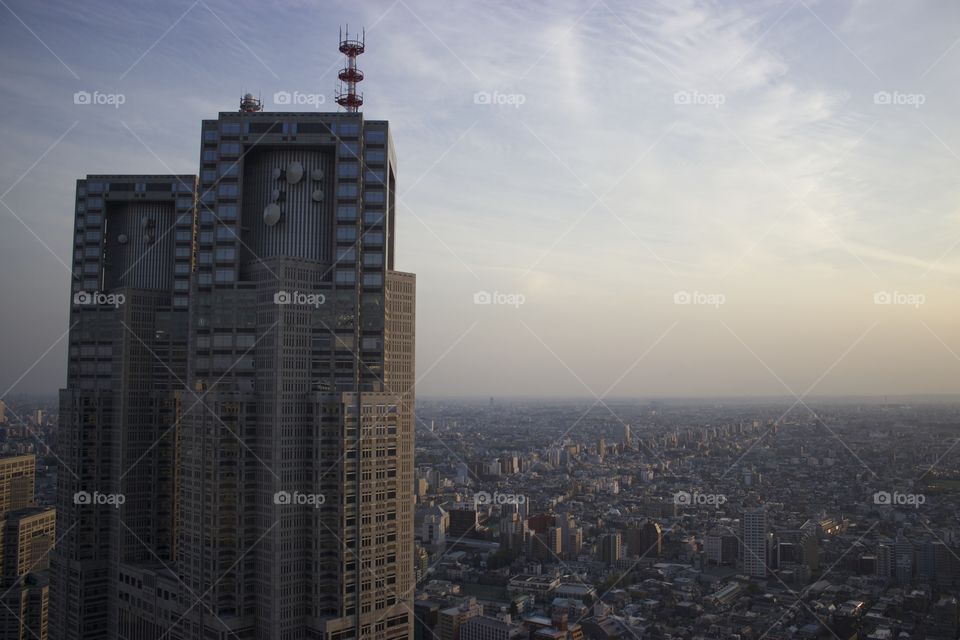 Skyline from Shinjuku Metropolitan Building