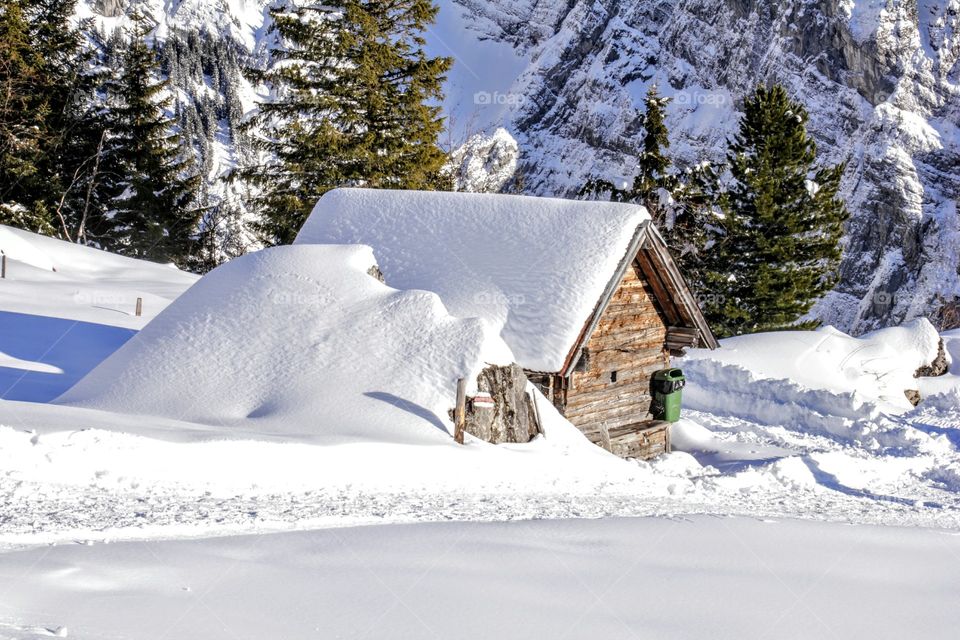 Snowcapped house in winter