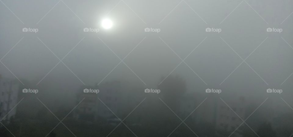 An Autumn Bangalore Morning🍁❤️✨